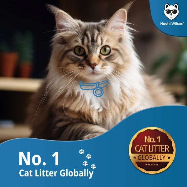 100% Bentonite Cat Litter - Image 4