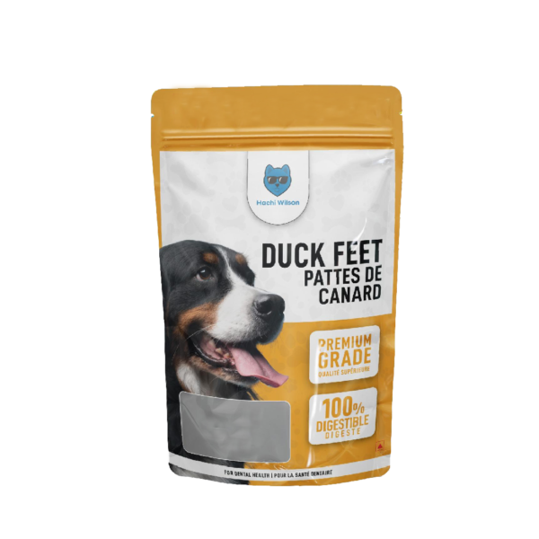 Nutritious & Delicious: Hachi Wilson’s Duck Feet Dog Treats