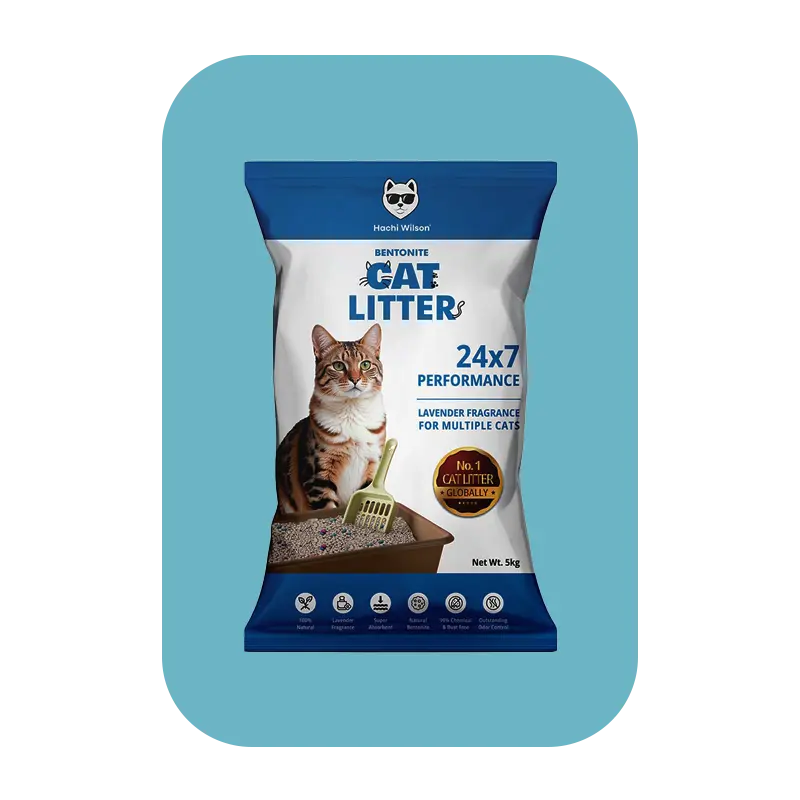 Cat Litter