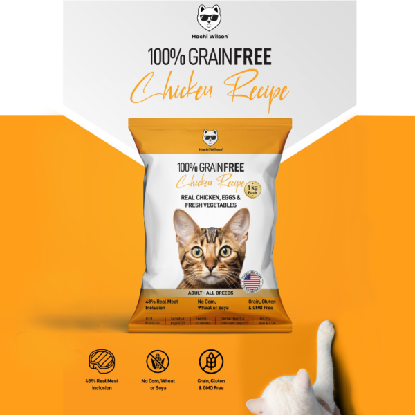 Chicken Flavor Cat Treats in India – Natural & Nutritious - DRY CAT FOOD - Image 5