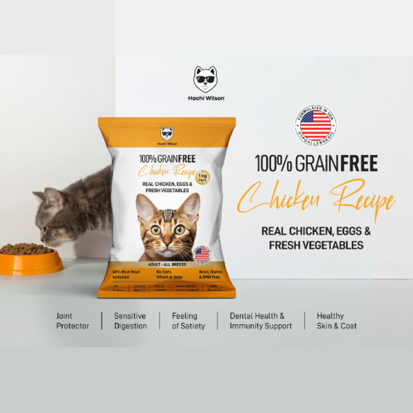 Chicken Flavor Cat Treats in India – Natural & Nutritious - DRY CAT FOOD - Image 3