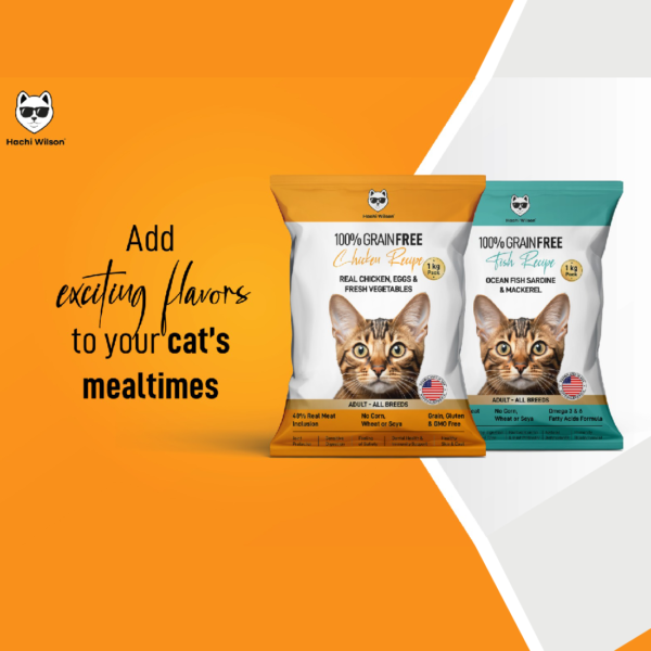 Chicken Flavor Cat Treats in India – Natural & Nutritious - DRY CAT FOOD - Image 4