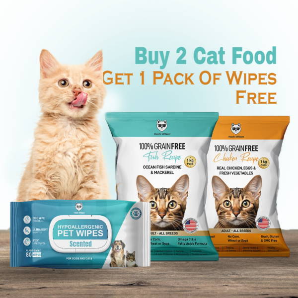 2 Cat food & get 1 pack of wipes free