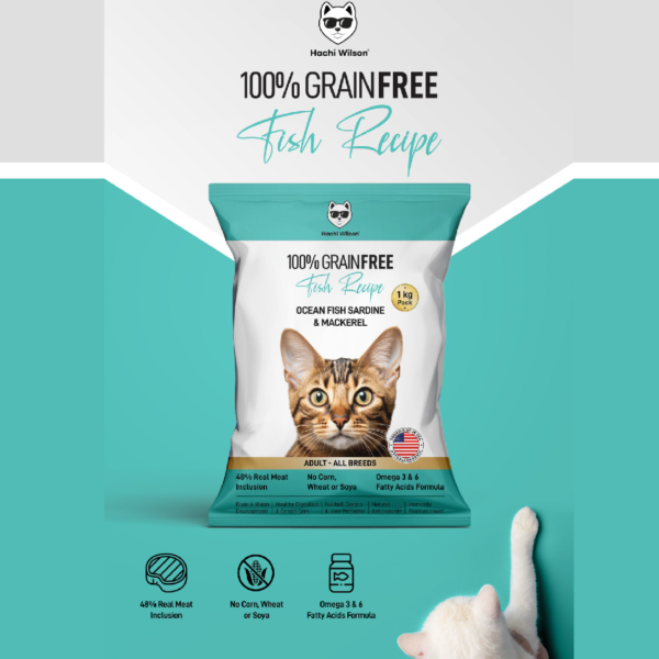 Discover the Best Fish Cat Treats in India – Hachi Wilson’s Dry Cat Food - Image 4