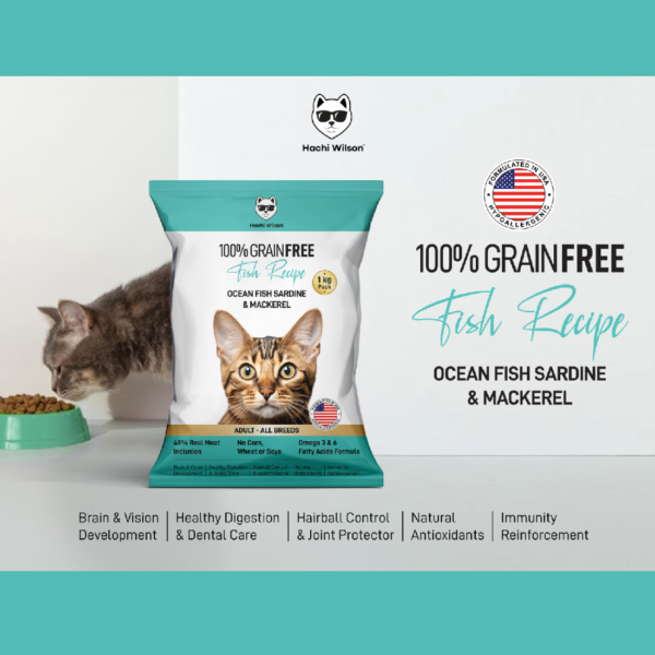 Discover the Best Fish Cat Treats in India – Hachi Wilson’s Dry Cat Food - Image 3