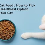 Dry Cat Food