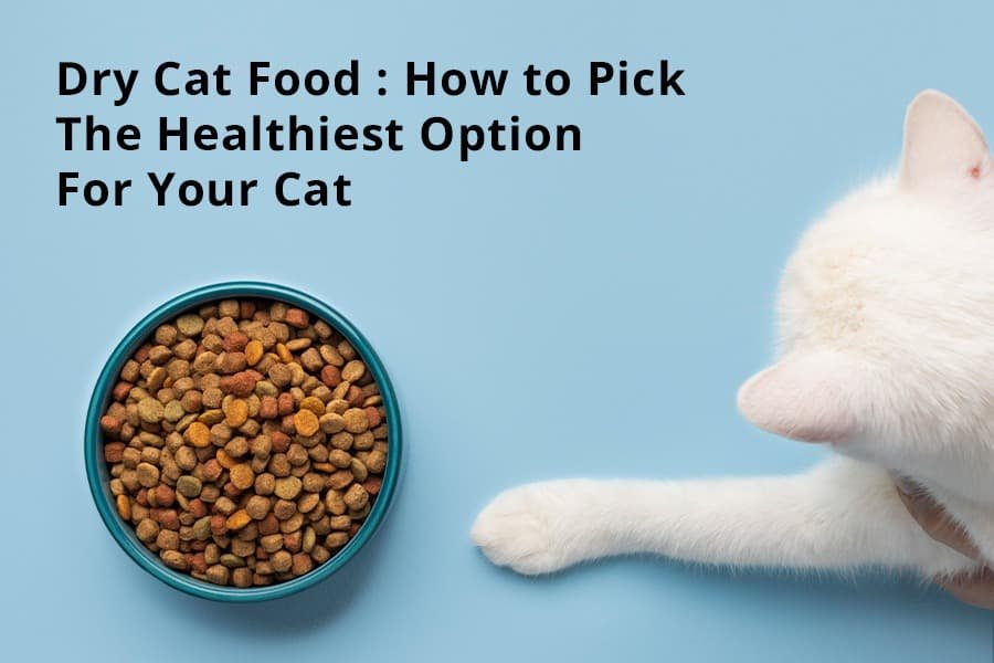 Dry Cat Food