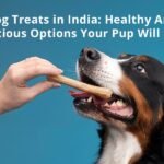 Dog Treats in India