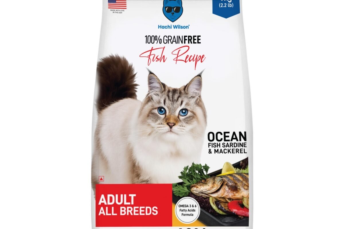 Fish Cat Food