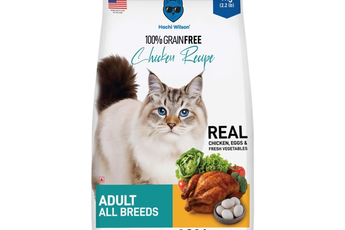 Chicken Dry Cat Food