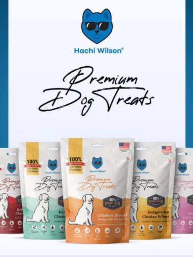 premium dog treats