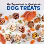 dog treats