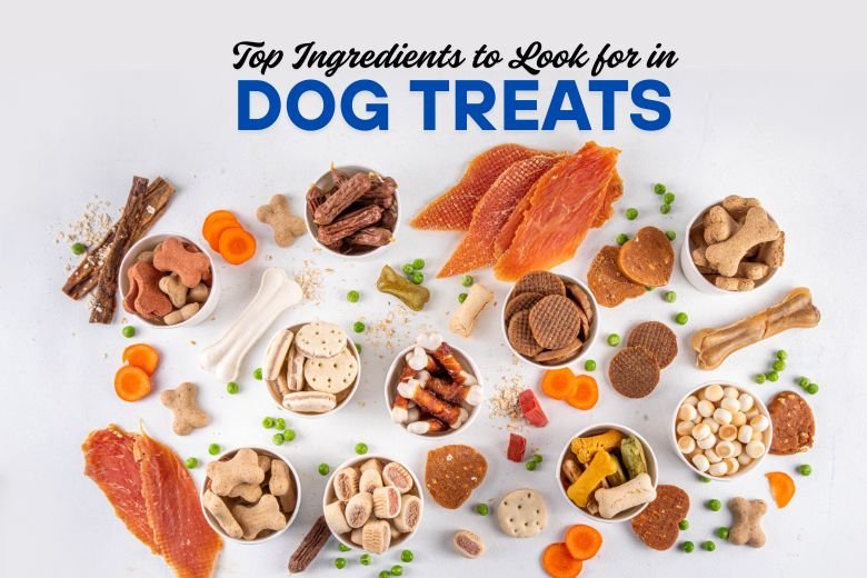 dog treats