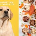 Happy dog with gourmet dog treats,