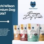 Premium Dog Treat