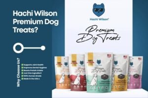 Premium Dog Treat