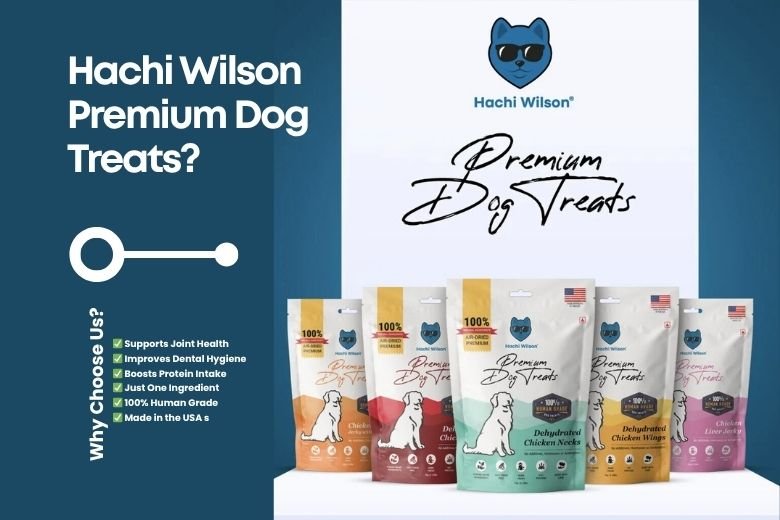 Premium Dog Treat