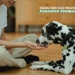 dog treats