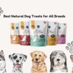 dog treats