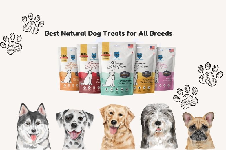 dog treats
