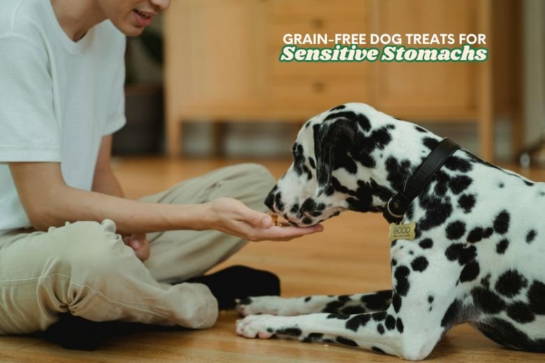 dog treats