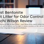 bentonite cat litter