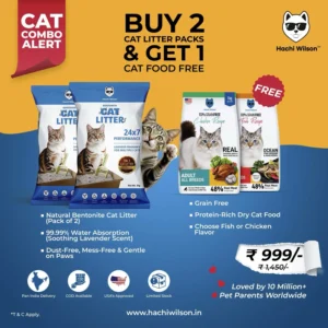 Bestselling Cat Combo Pack – Premium Cat Litter + FREE Dry Cat Food