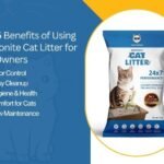 Bentonite cat litter in a clean litter box, showcasing the top 5 benefits of using bentonite cat litter for pet owners.