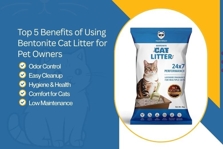Bentonite cat litter in a clean litter box, showcasing the top 5 benefits of using bentonite cat litter for pet owners.
