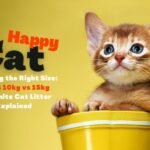 Bentonite cat litter bags (5kg vs 10kg vs 15kg) in a cozy living room with a happy cat