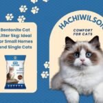 Bentonite Cat Litter 5kg in a small apartment bathroom, ideal for single cats.