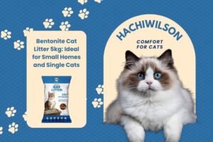 Bentonite Cat Litter 5kg in a small apartment bathroom, ideal for single cats.