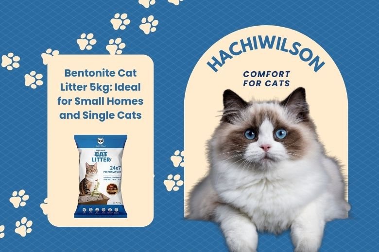 Bentonite Cat Litter 5kg in a small apartment bathroom, ideal for single cats.