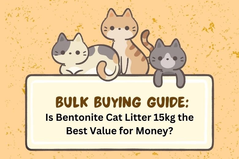 Cat owner scooping bentonite cat litter from a 15kg bag in a cozy home, highlighting bulk buying bentonite cat litter 15kg value.