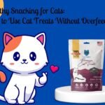 Healthy cat with treats on kitchen counter, showing how to use cat treats without overfeeding.