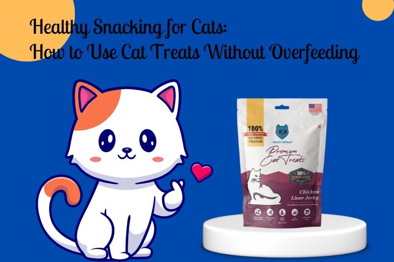 Healthy cat with treats on kitchen counter, showing how to use cat treats without overfeeding.