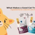 Cat enjoying fish cat food and treats in a kitchen, showcasing how to add variety to your cat’s diet with fish cat food and treats.