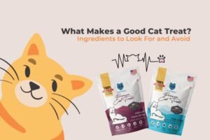 Cat enjoying fish cat food and treats in a kitchen, showcasing how to add variety to your cat’s diet with fish cat food and treats.