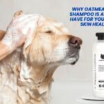 Happy dog being bathed with oatmeal dog shampoo, showcasing why oatmeal dog shampoo is a must-have for your pet’s skin health