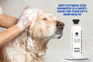 Happy dog being bathed with oatmeal dog shampoo, showcasing why oatmeal dog shampoo is a must-have for your pet’s skin health