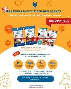 Bestselling Cat Combo Pack – Premium Cat Litter + FREE Dry Cat Food