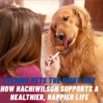 Natural pet food bowl with Hachiwilson ingredients supporting mitochondrial health