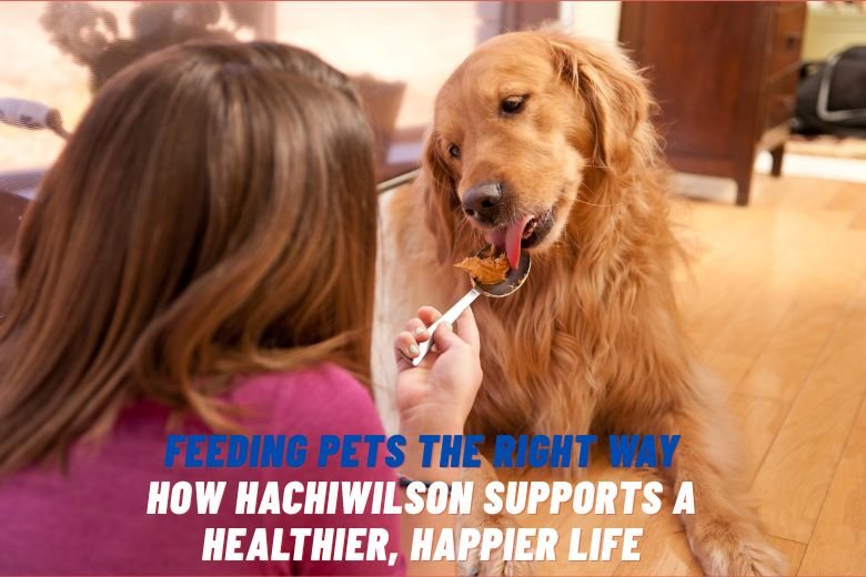 Natural pet food bowl with Hachiwilson ingredients supporting mitochondrial health