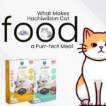 best cat food, healthy cat diet, Hachiwilson cat food