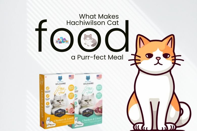 best cat food, healthy cat diet, Hachiwilson cat food
