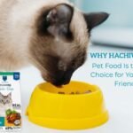 Hachiwilson Pet Food bag, the best pet food for healthy pets