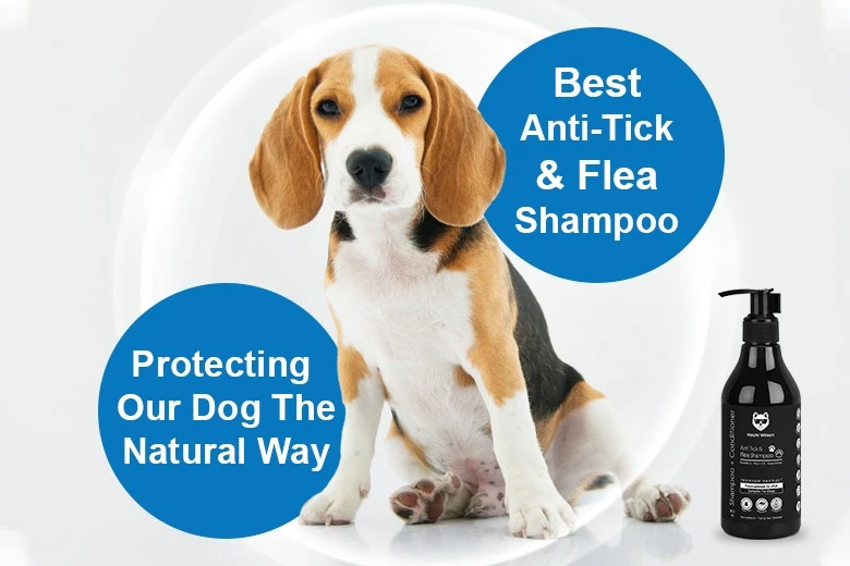 Anti-tick flea shampoo dog care