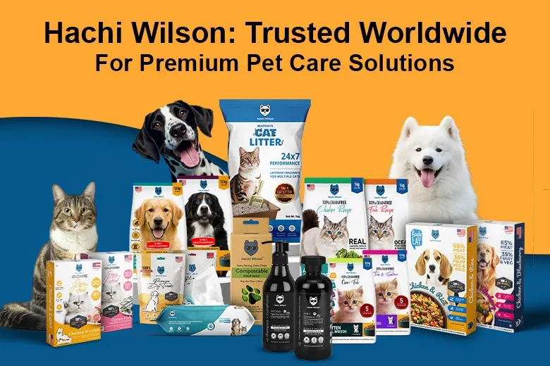 Hachi Wilson premium pet care solutions for pets.