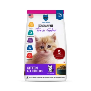 Kitten Dry Food