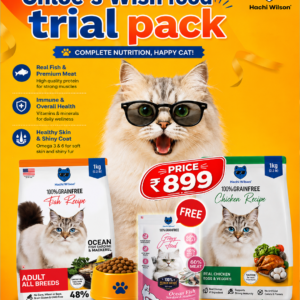 Chloe's Wish Food Trial Pack (2 Cat Dry Food + 1 Wet Gravy Food Sample Free)